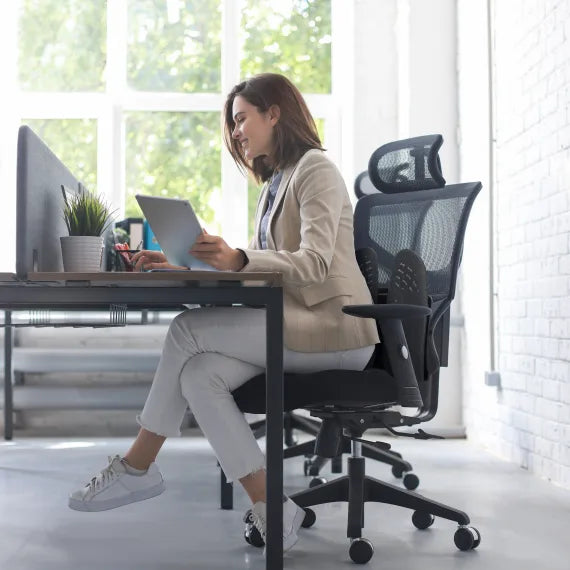 TNB Ergonomic back support pro