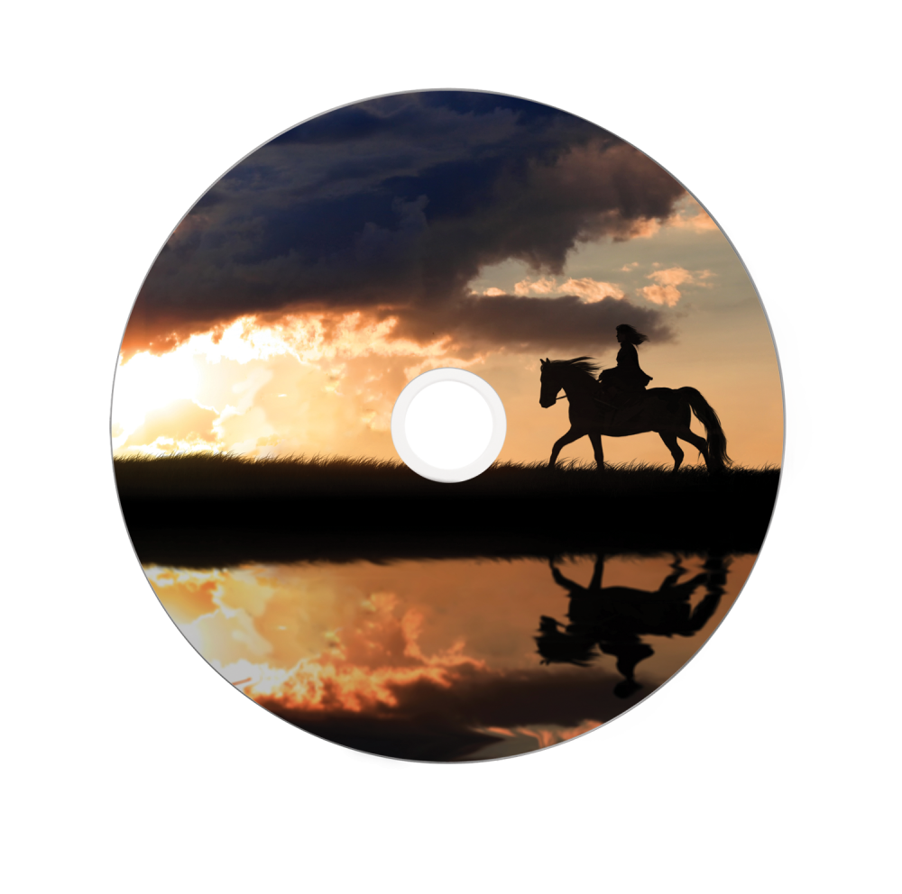 VERBATIM DVD+R DUAL LAYER DL SP-25 ΕΚΤΥΠΩΣΙΜΟ 8,5 GB 8X