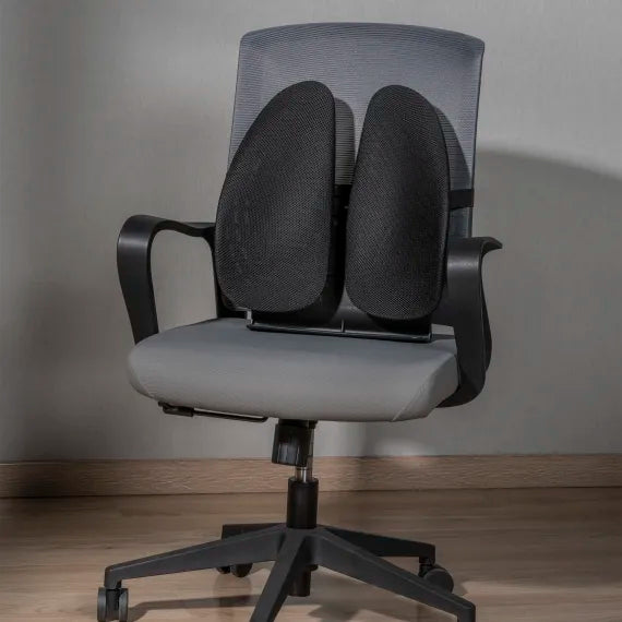 TNB Ergonomic back support pro