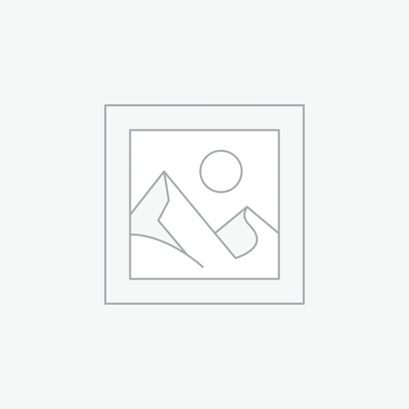 MediaRange Multi-purpose labels, permanent adhesive, 210x99mm